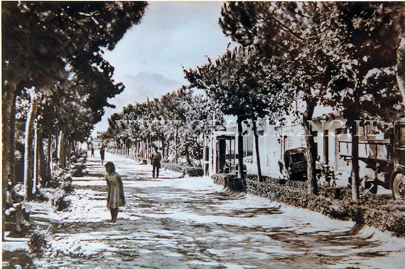 Viale Ringa